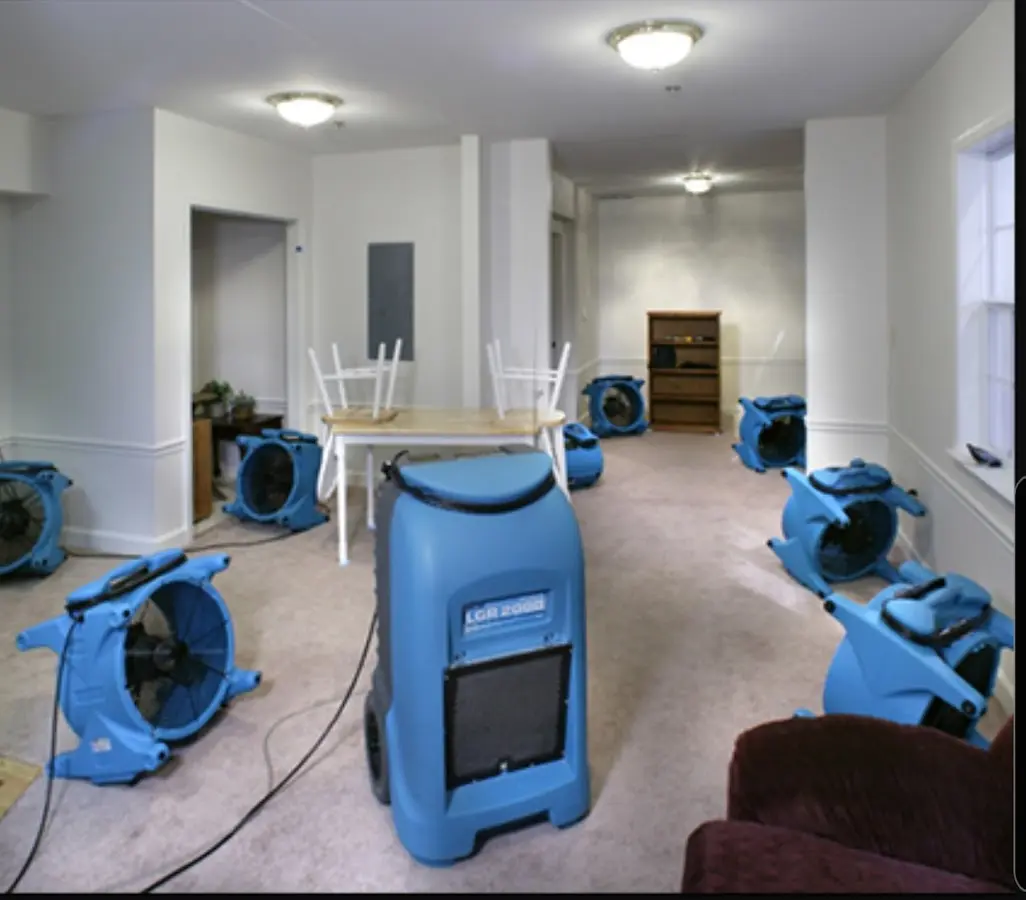 Air movers and dehumidifier setup for Water Extraction & Removal in Pascagoula