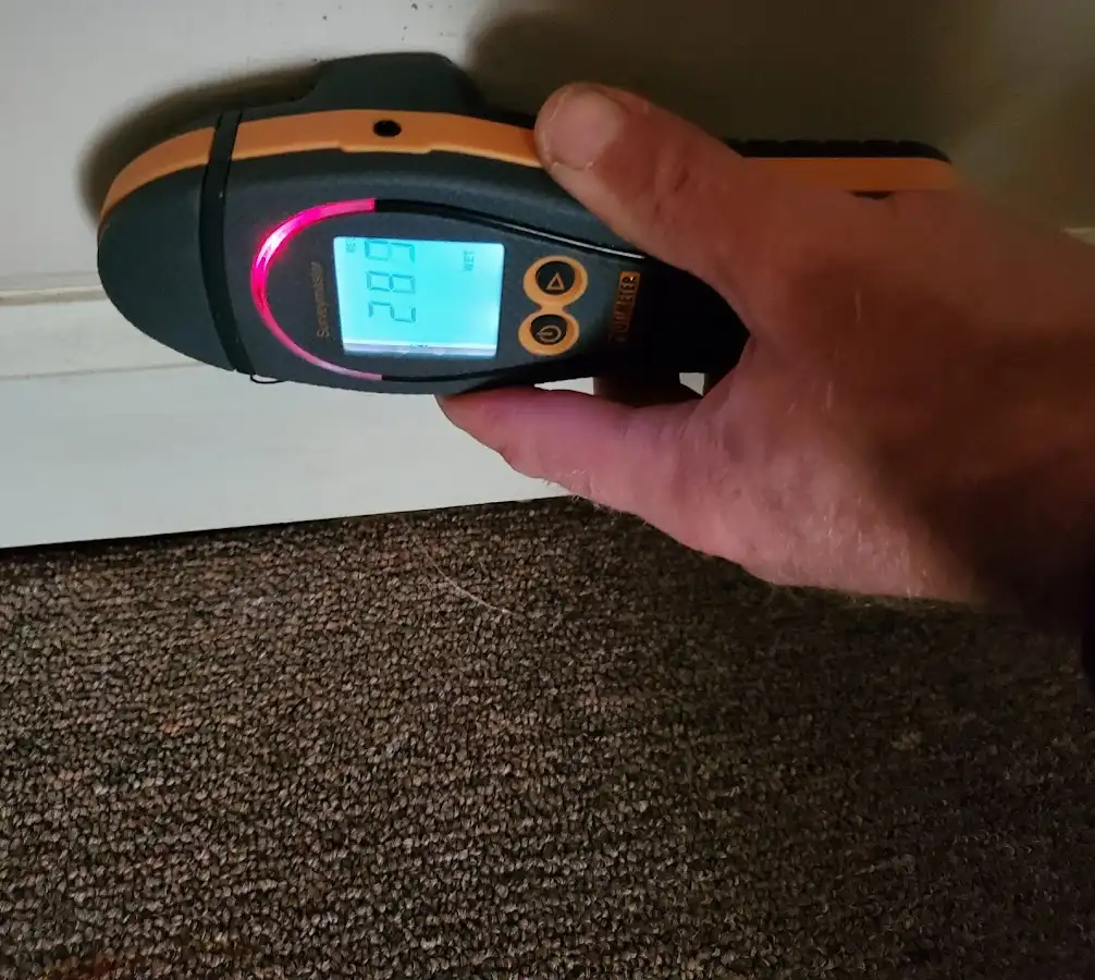 Moisture detection at baseboard during Burst Pipe Cleanup in Pascagoula