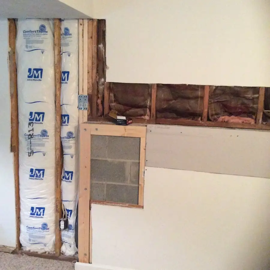 Wall insulation replacement during Odor Removal & Deodorization in Pascagoula